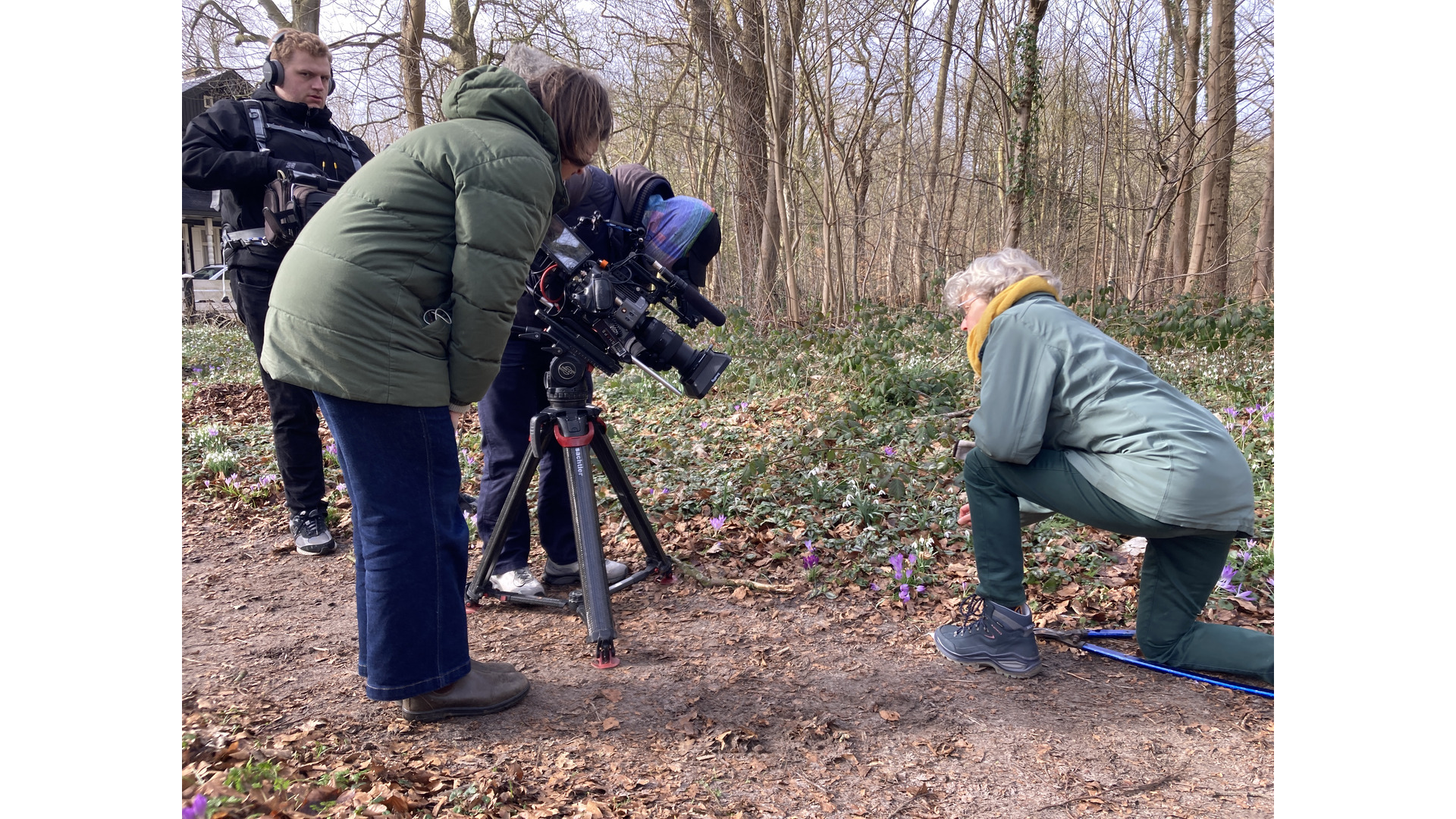 Foto: Tuinvrijwilligster Mariet bij crocussen 2.JPG